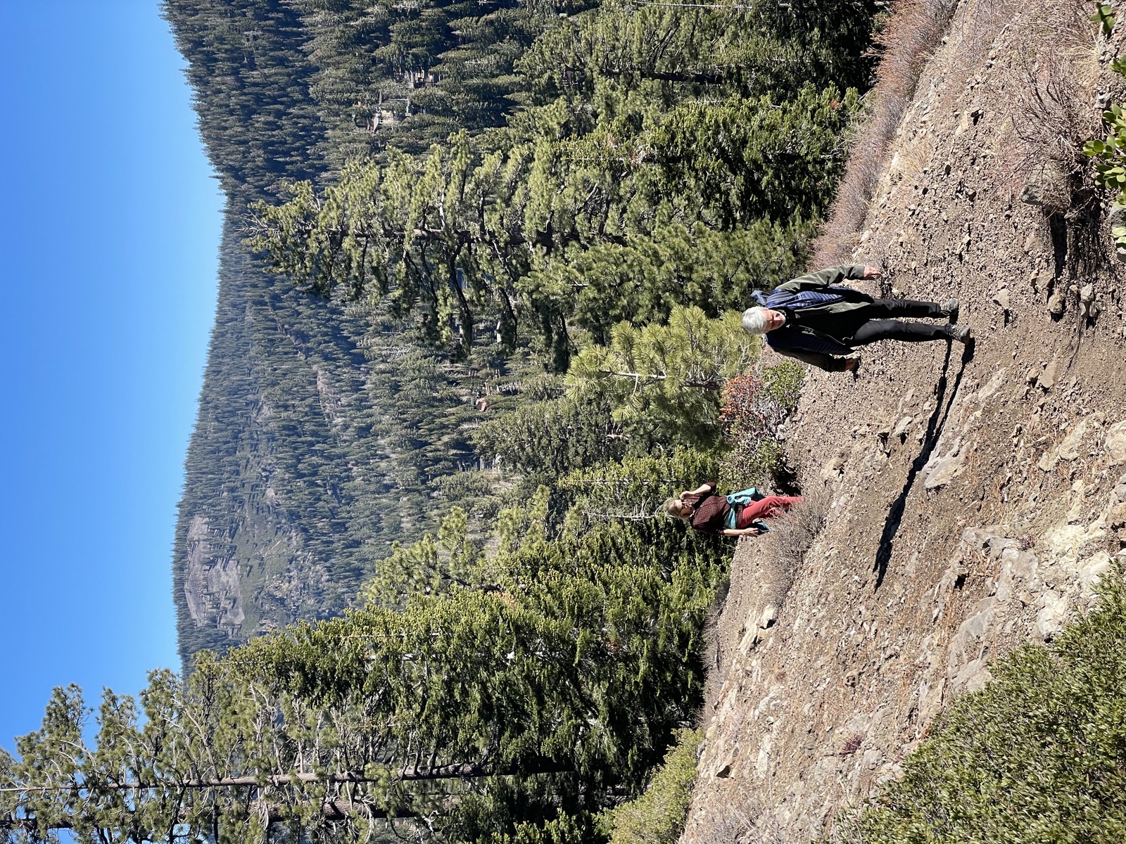 Hiking